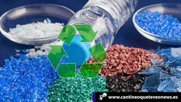 Plastico - reciclaje - Cantineoqueteveo News