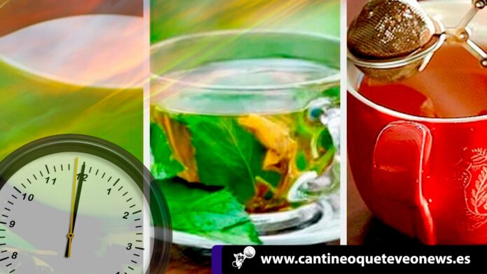 tomar infusion-beneficios-cantineoqueteveonews