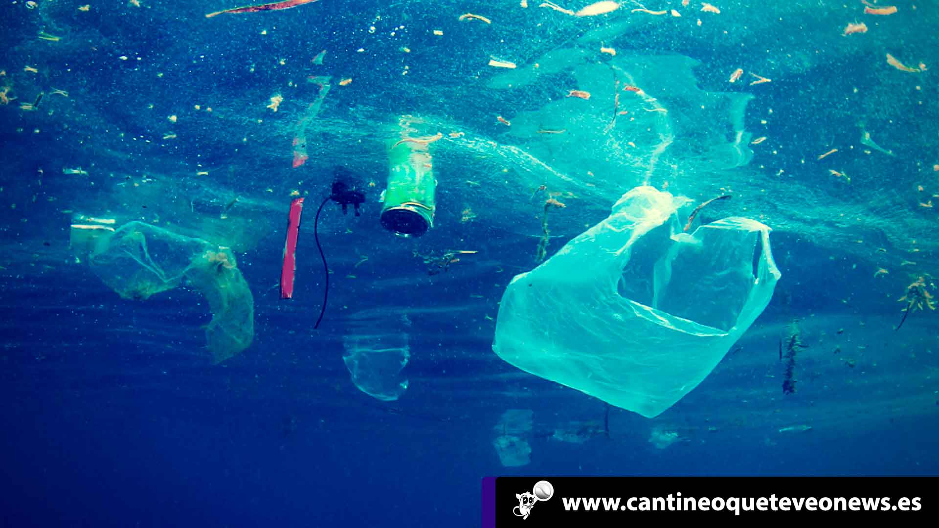Cantineoqueteveo News - Contaminacion Plástica