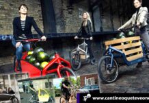 bicicletas cargo - Cantineoqueteveonews