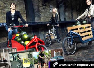 bicicletas cargo - Cantineoqueteveonews