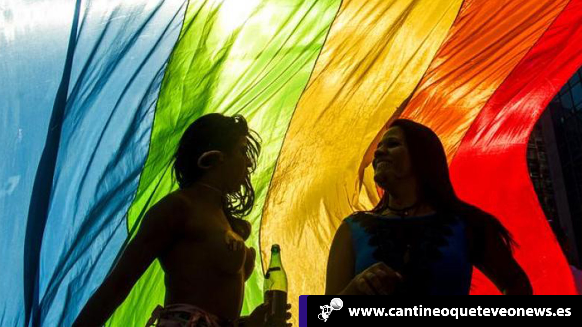 LGBT en las Naciones Unidas