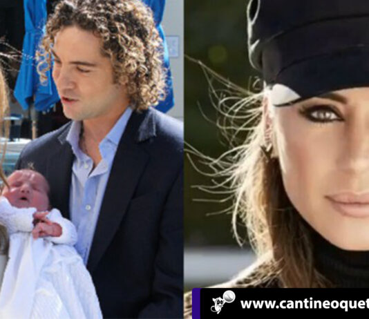 david bisbal - cantineo que te veo news