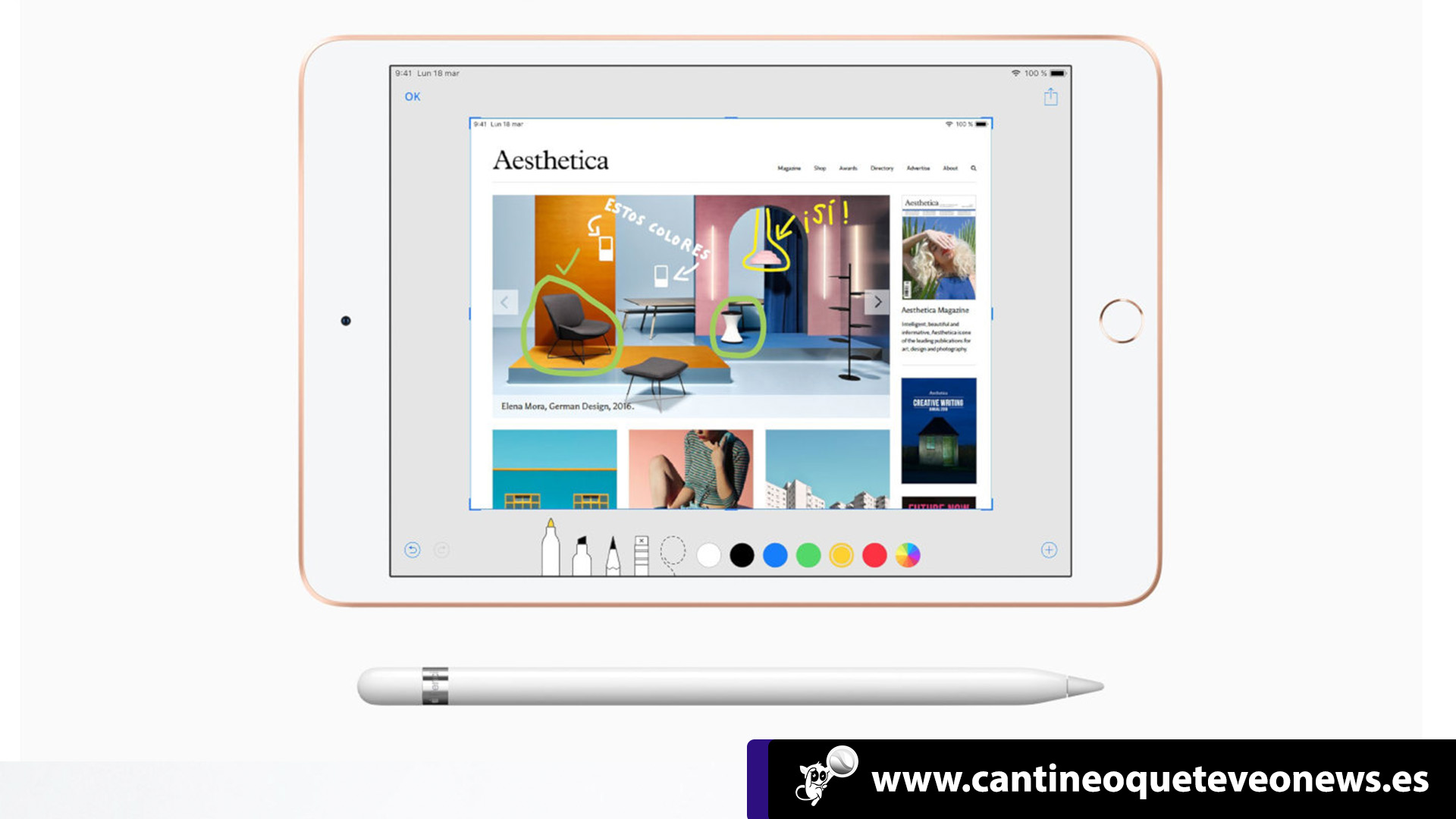 ipad mini cantineo