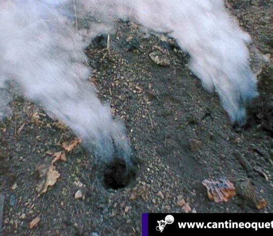 Nuevo volcán en Venezuela - Cantineoqueteveo News
