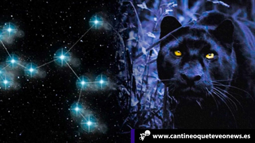 cantineoqueteveo - animal signo