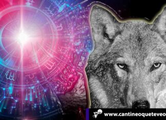 cantineoqueteveo - animal signo