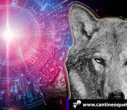 cantineoqueteveo - animal signo