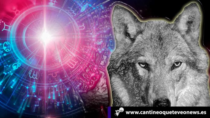 cantineoqueteveo - animal signo