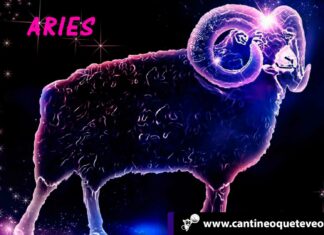 cantineoqueteveo - Aries