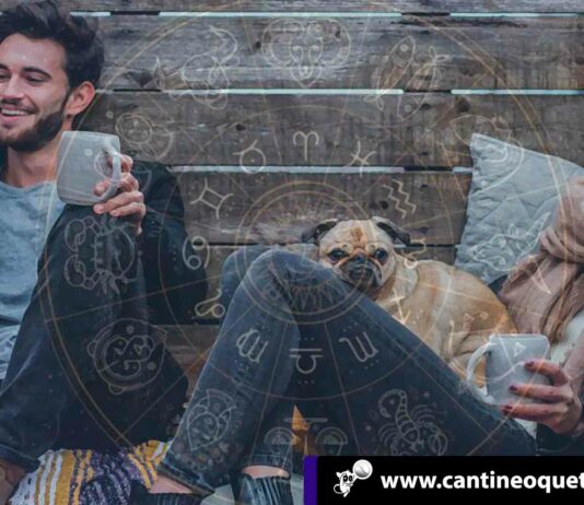 cantineoqueteveo - Sentimientos y emociones