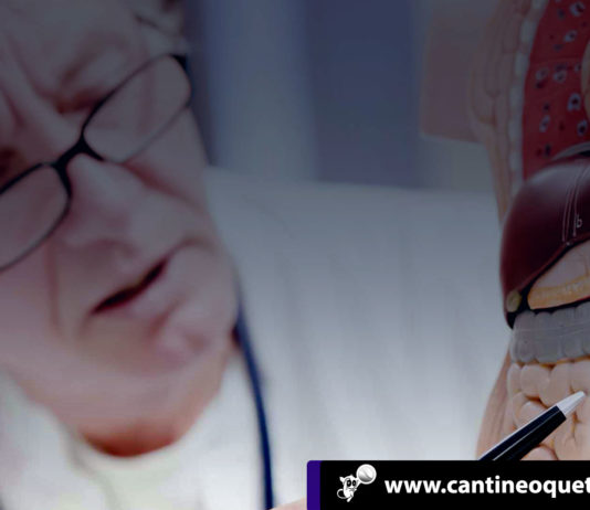 El cáncer - Cantineoqueteveonews