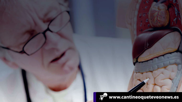 El cáncer - Cantineoqueteveonews