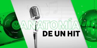 profesional de la música