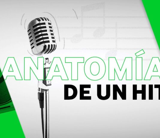 profesional de la música