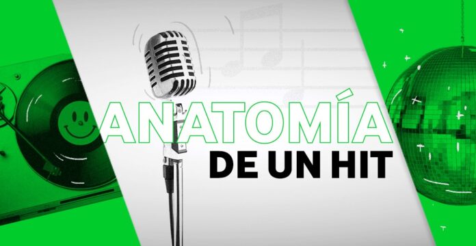 profesional de la música