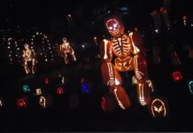 Carnaval de Binche - Cantineo que te veo news