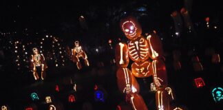 Carnaval de Binche - Cantineo que te veo news