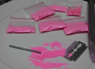 Droga rosa Tusi