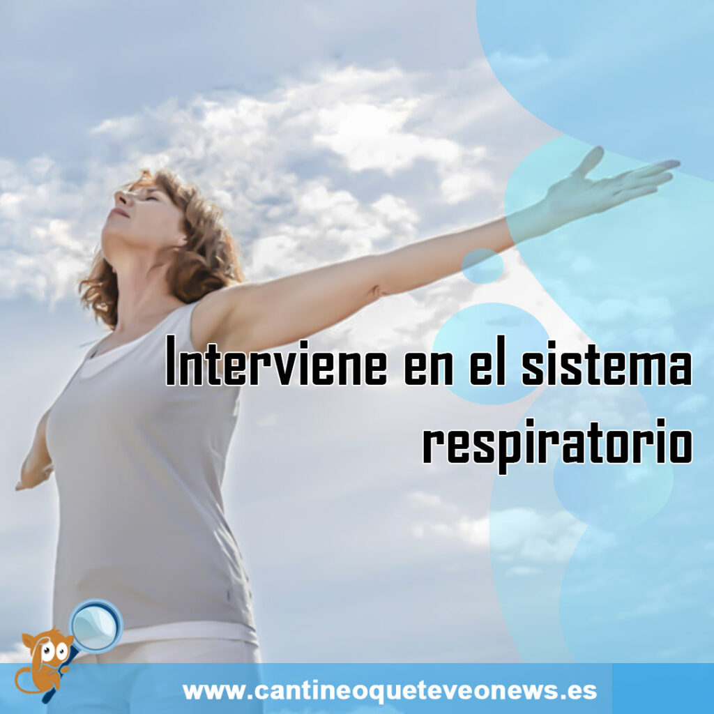 trotar a diario -Cantineoqueteveo News