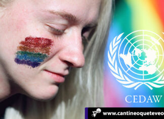 LGBT en las Naciones Unidas