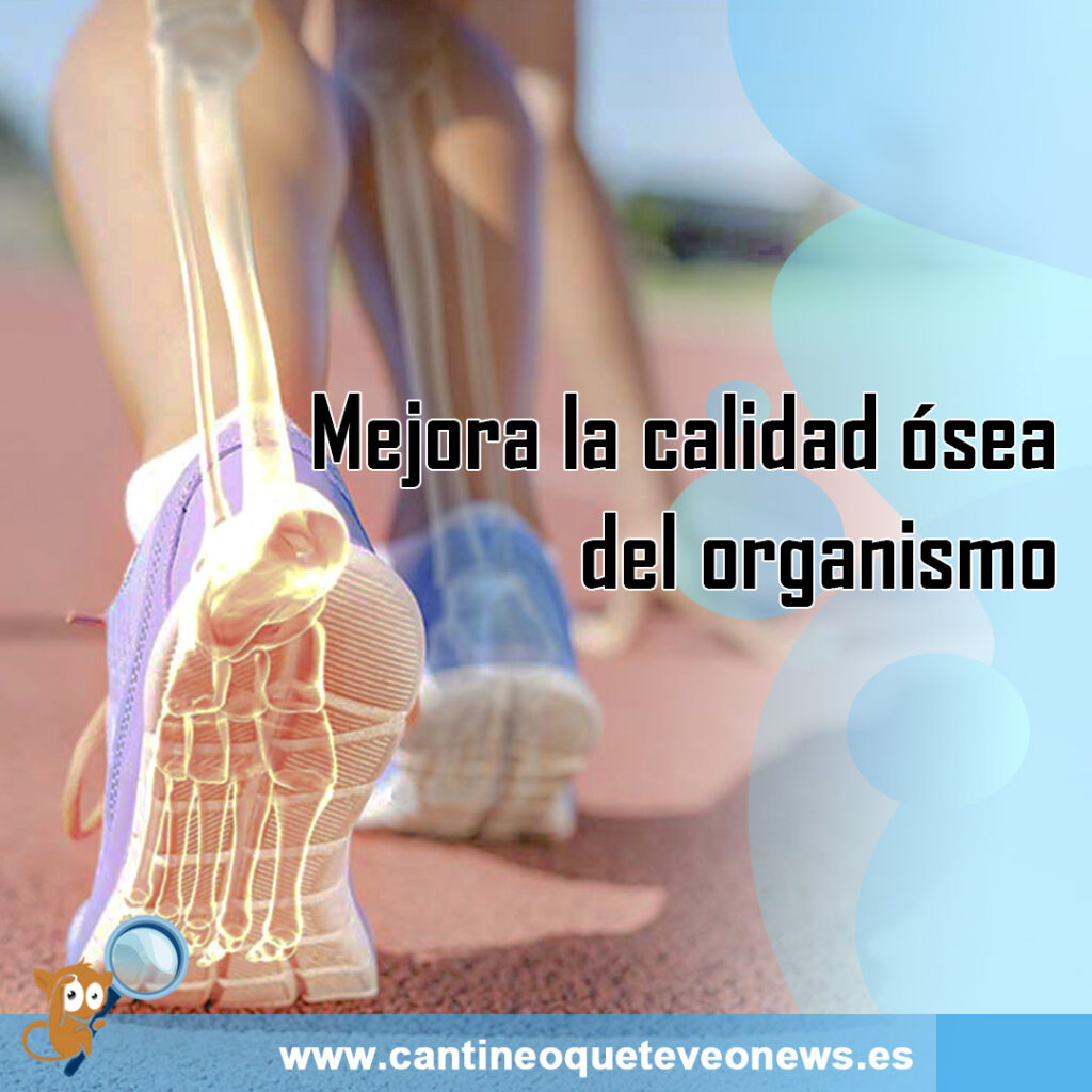 calidad osea-CantineoqueteveoNews