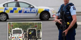 Tiroteo en Nueva Zelanda deja una cifra de 50 muertos Tiroteo en Nueva Zelanda - cantineoqueteveo news