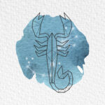 cantineoqueteveo - Signos Zodiacales escorpio