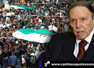 Argelia - Cantineoqueteveo News
