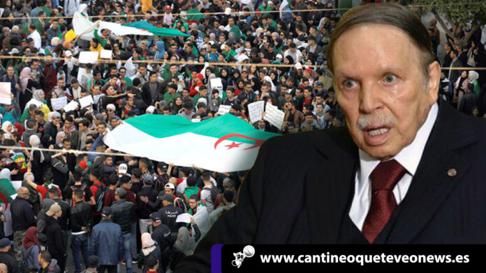 Argelia - Cantineoqueteveo News
