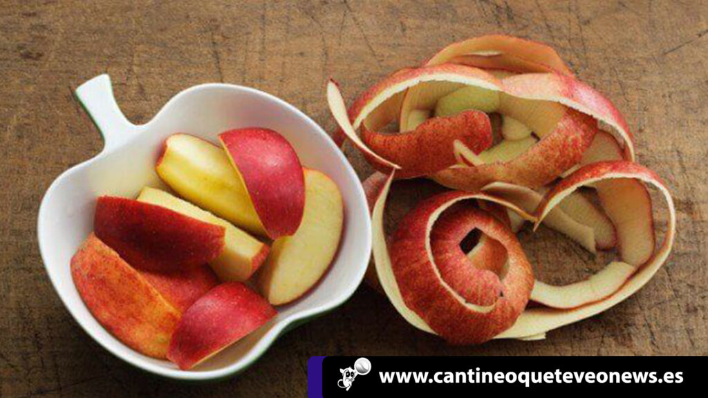 frutas y verduras - cantineoqueteveo news 