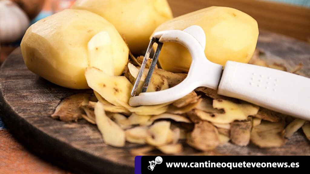 frutas y verduras - cantineoqueteveo news