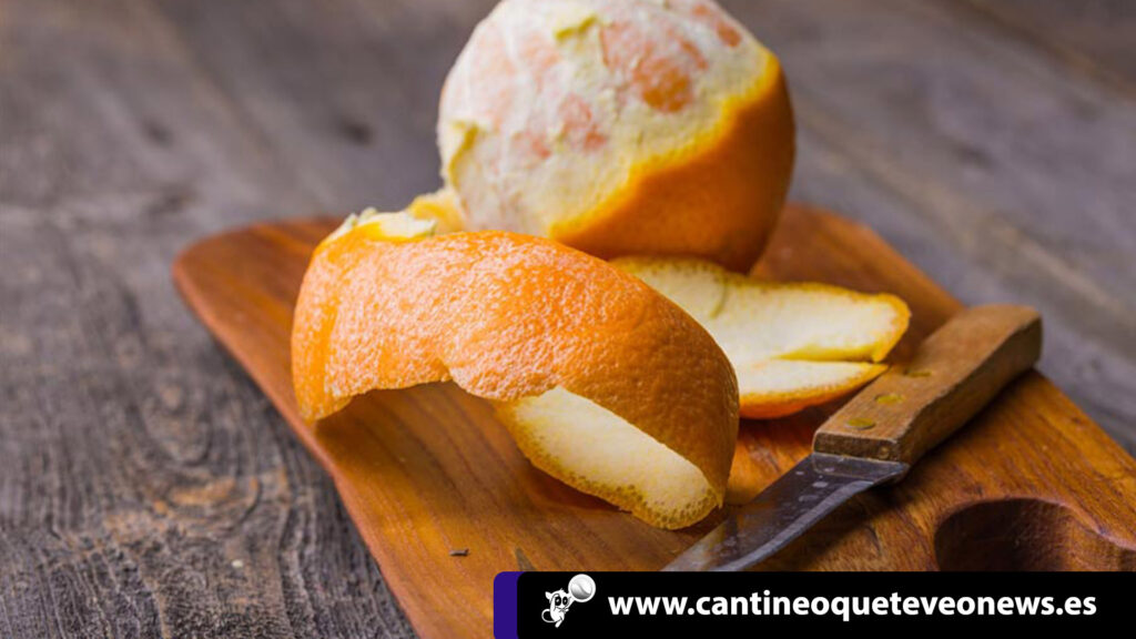 frutas y verduras - cantineoqueteveo news