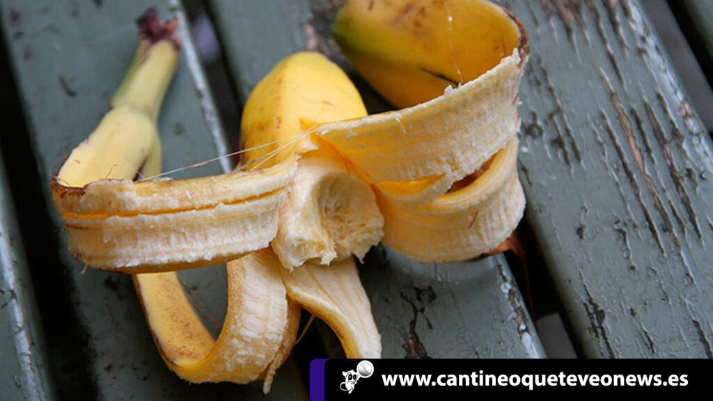 frutas y verduras - cantineoqueteveo news