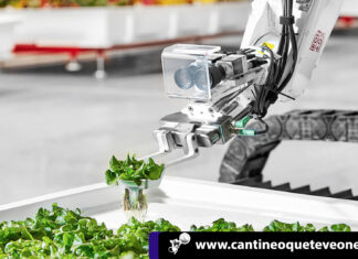 Primer Robot agricultor ya es una realidad, gracias a la compañía T&G Global cantineoqueteveo - Primer Robot agricultor