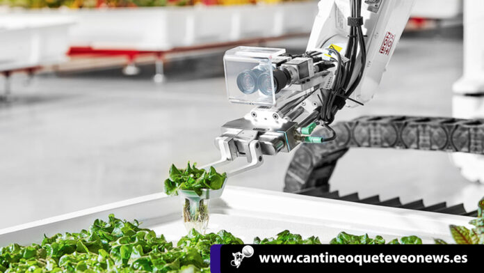 cantineoqueteveo - Primer Robot agricultor