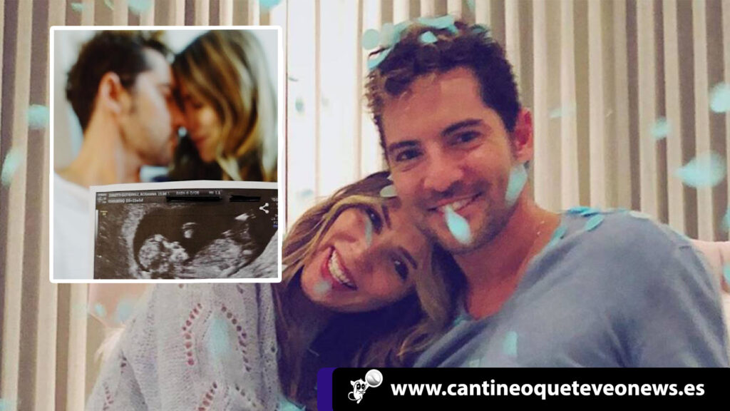 David Bisbal y Rosanna Zanetti - Cantineoqueteveo news