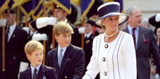 muerte de Princesa Diana de Gales - Cantineoqueteveo news