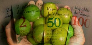 ¡Impresionante! Un kilo de limón en vargas equivale a salario mínimo kilo de limón en vargas-Cantineoqueteveonew