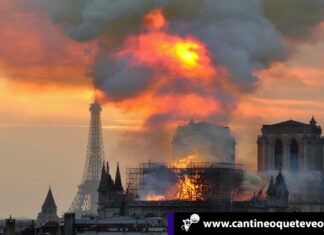 catedral de notre dame-cantineoqueteveonews