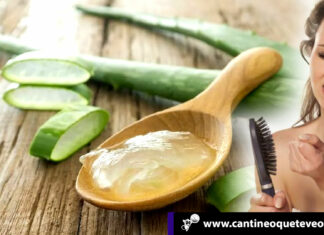 ¿Caída del cabello? Controla la caída con aloe vera ¡súper efectivo! caida del cabello- aloe vera- cantineoqueteveo
