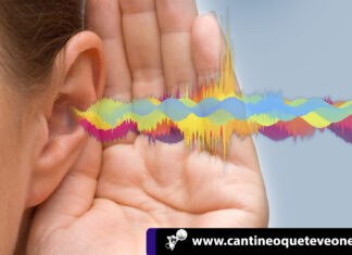 salud y bienestar - ruido - Cantineoqueteveo News