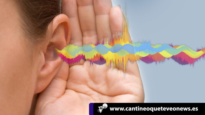 salud y bienestar - ruido - Cantineoqueteveo News salud y bienestar - ruido - Cantineoqueteveo News