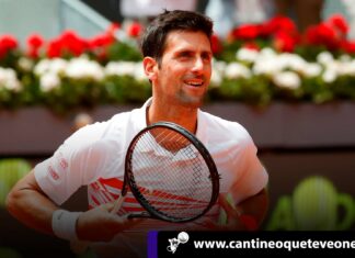 Djokovic en primer plano - Cantineoqueteveo News
