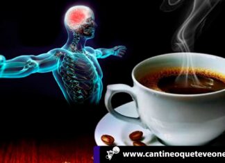 café beneficioso o perjudicial- nuestra salud- cantineoqueteveonews