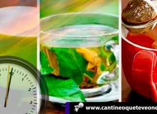 Tomar infusiones para cada momento del día !Descubre los beneficios! tomar infusion-beneficios-cantineoqueteveonews