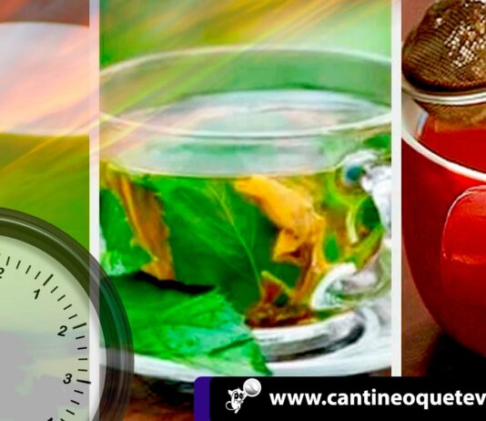Tomar infusiones para cada momento del día !Descubre los beneficios! tomar infusion-beneficios-cantineoqueteveonews