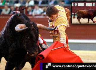 Torero recibe cornada en el recto en una corrida en Madrid¡Vídeo! totero frances- cantineoqueteveonews