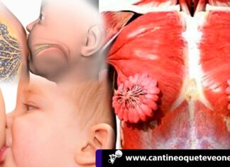 Mujeres: ¡Nuestro cuerpo es mágico! Senos en forma de flor senos en forma de flor - senos femeninos - cuerpo humano femenino - Cantineoqueteveo News