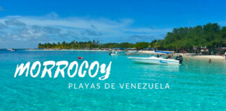 ¡Espectacular! Morrocoy sigue esperando por turistas internacionales